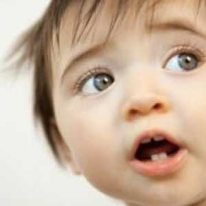 Последователността на изригване на зъбите при деца
