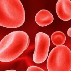 Повишена червените кръвни клетки в кръвта
