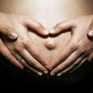 Пози за бременни