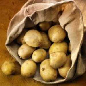 Сортовете ранни картофи
