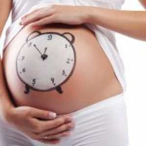 Изчисляване на срока на бременността