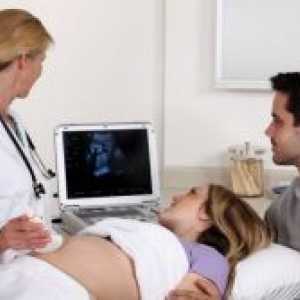 Несъответствието между срамната по време на бременност