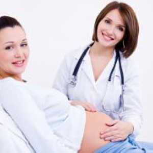 Размер на матката от седмица на бременността