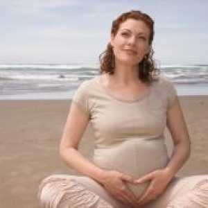 Размерите на матката по време на бременност