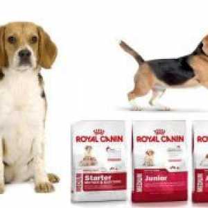 Royal Canin за малки кученца