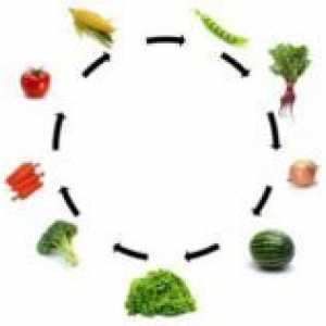 Crop въртене зеленчукови култури