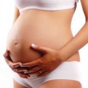 Шийката на матката по време на бременност