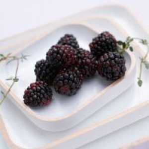 Mulberry - ползите и вреди