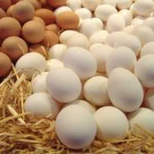 Колко протеин в едно яйце?