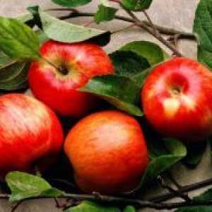 Колко въглехидрати в една ябълка?