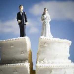 Статистика на разводите в Русия
