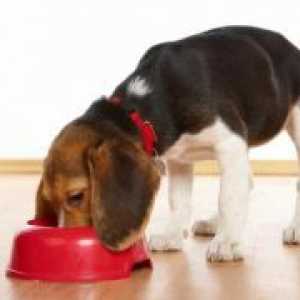 Суха храна за кучета от дребни породи