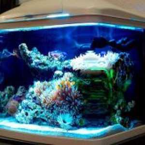 LED лампи за аквариум