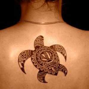 Turtle татуировка - стойност