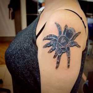 Spider татуировка - стойност