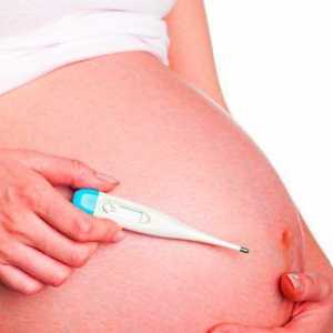 Температурата по време на бременност и причини увеличение