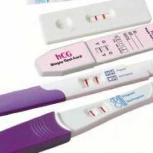 Бременност тест в началото на бременността