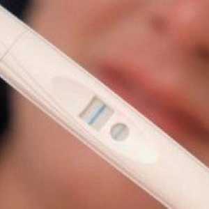 Тест за бременност