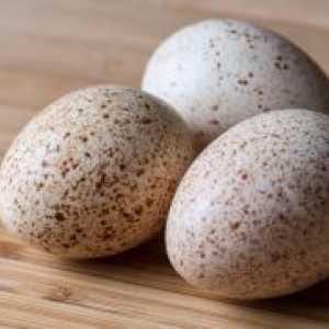 Патешки яйца - ползи и вреди