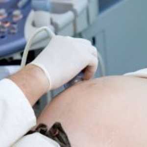 Бъбречна ултразвук по време на бременност