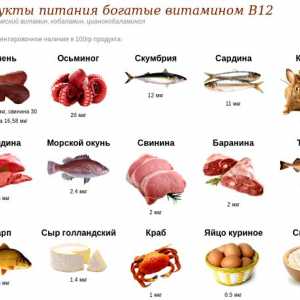 Какви храни съдържат витамин В12?