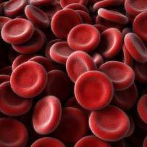 На намалиха кръвните еритроцити