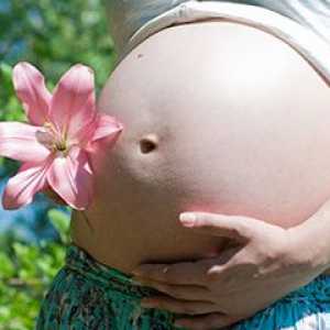 Варицела по време на бременност