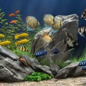 Видове аквариумни риби