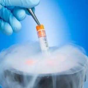 Витрификация клетъчни ембриони