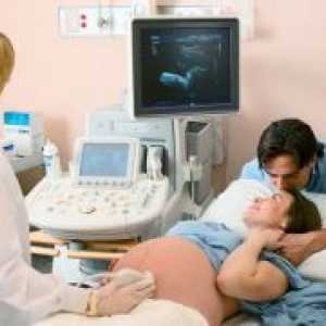 Вторият ултразвук по време на бременност