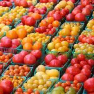 Високодобивни сортове домати