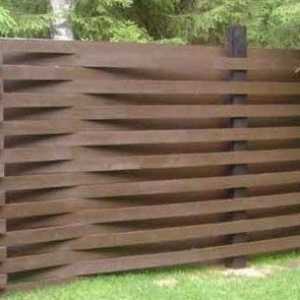 Ракита ограда