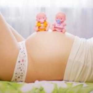 Жълтото тяло по време на бременност: Размери